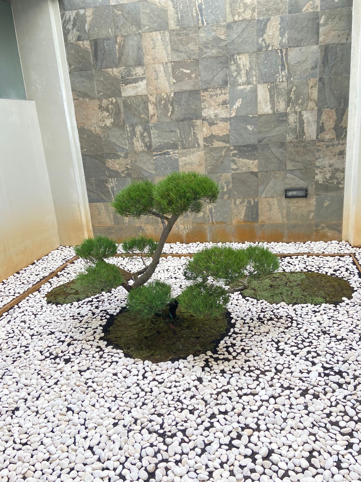 jasa taman softscape