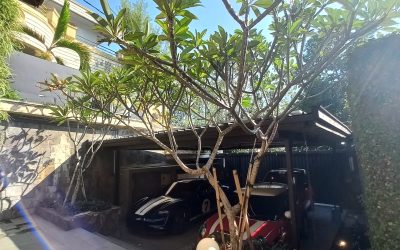 Landscape Designer: Menciptakan Keindahan Alam menjadi Karya Hidup