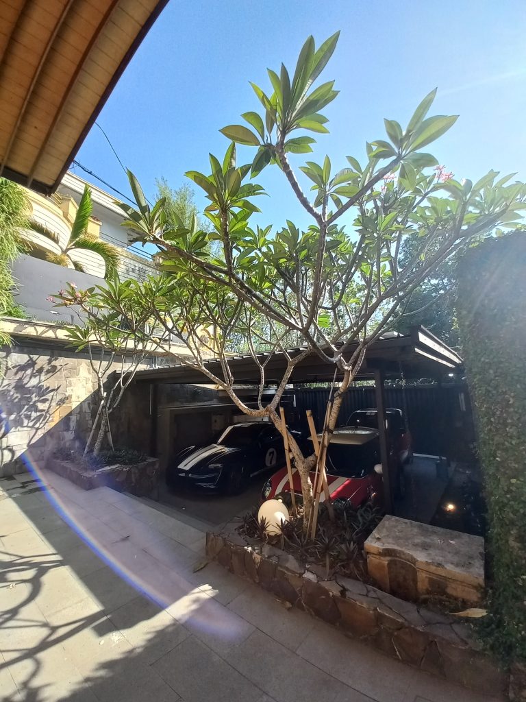 landscape designer