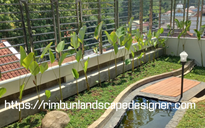Jasa Pembuatan Taman Semarang
