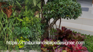 Jasa Taman Profesional Semarang 