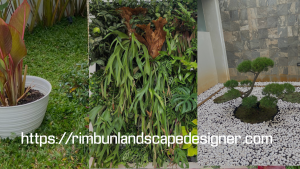 Jasa Tukang Taman Wilayah Semarang