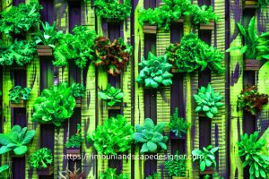 Jasa Vertical Garden Semarang
